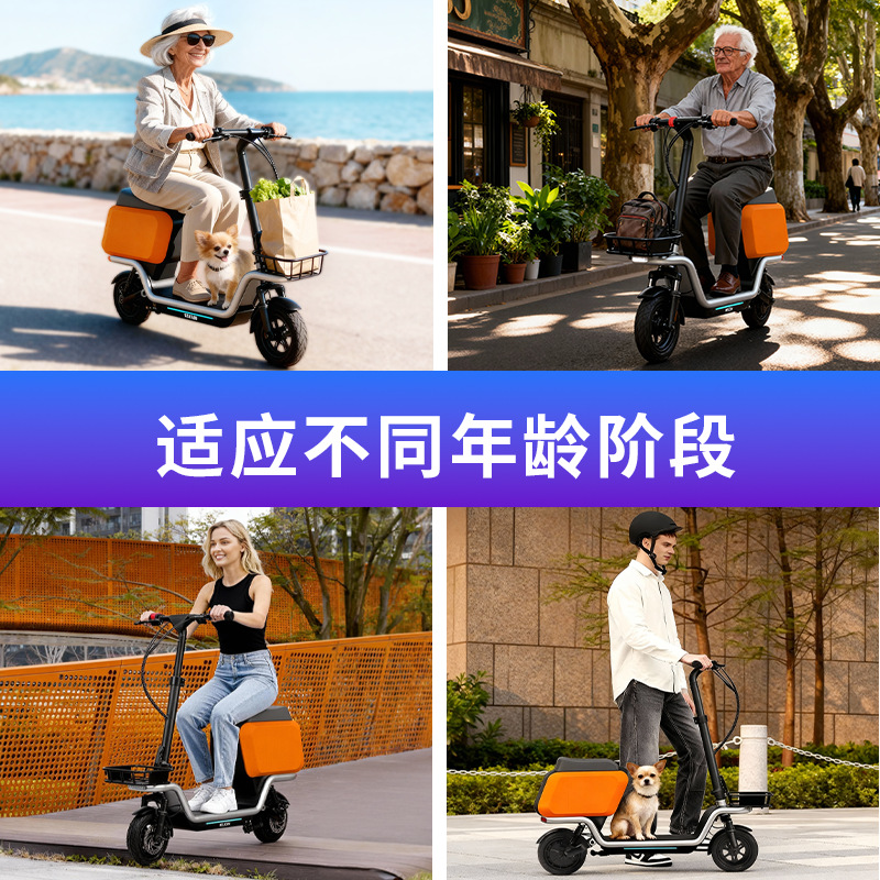 Электросамокат для взрослых с  – обзор и цена Scooter Electric